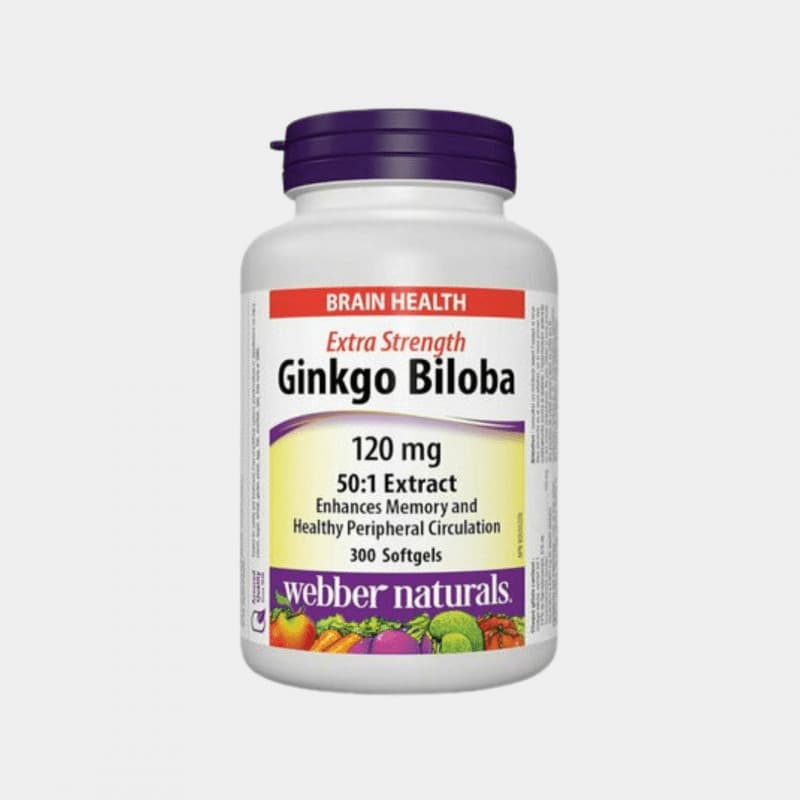 Ginkgo biloba Extra silné 120mg