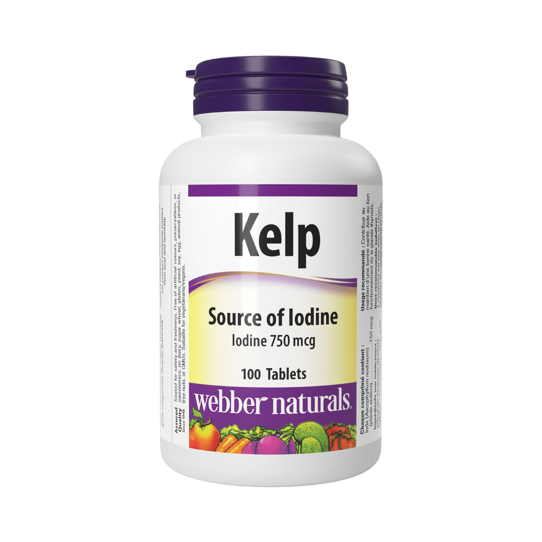 Kelp – obrázok 2